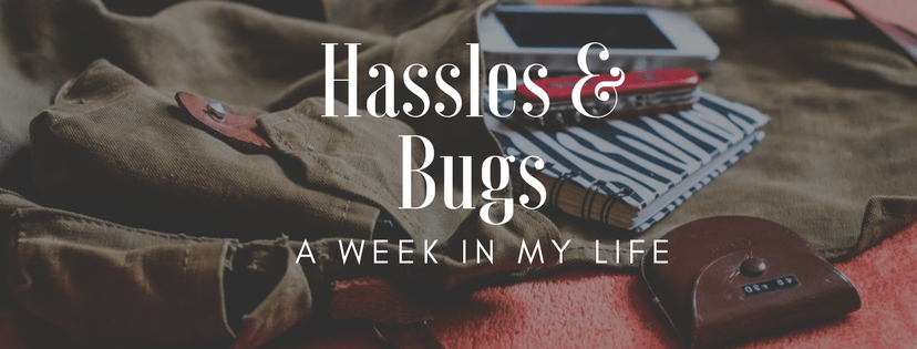 Hassles and Bugs 🐜 || Week in my life